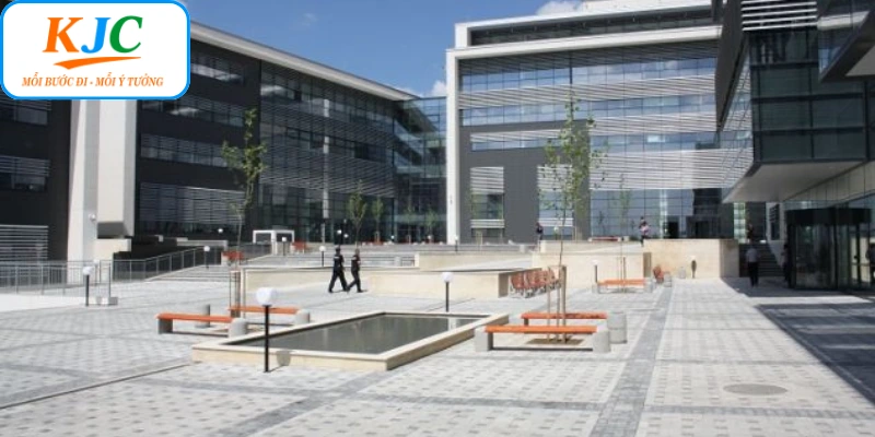 Xây dựng nền tảng tăng trưởng bền vững khi thành lập liên minh quốc tế